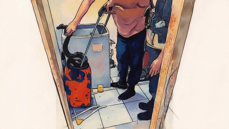 Jiboia de dois metros encontrada dentro de uma máquina de lavar (Foto: Reprodução)