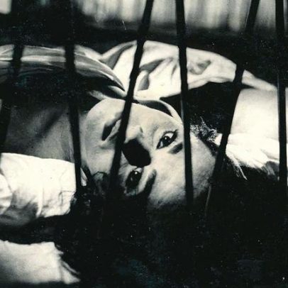 Livro explora a obra de Walter Hugo Khouri, diretor de 'Noite Vazia' e filme de Xuxa