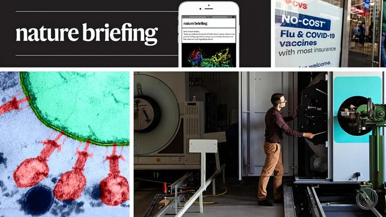 Fagos bacterianos projetados por IA são capazes de infectar e eliminar bactérias hospedeiras (Foto: Reprodução)