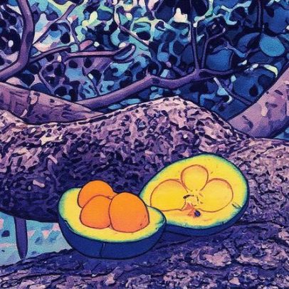 Pequi é saudável, mas consumo deve ser avaliado individualmente na alimentação