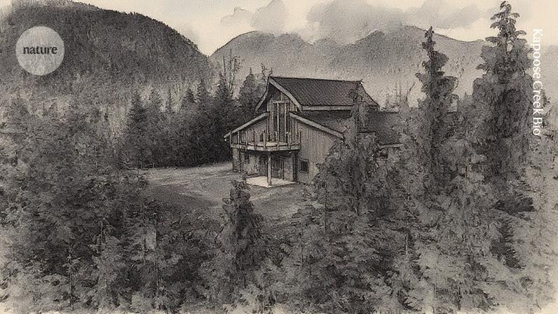 Coleção única de fungos da Kapoose Creek Bio sendo analisada no local da estação de pesquisa da empresa em Vancouver Island, Canadá (Foto: Reprodução)