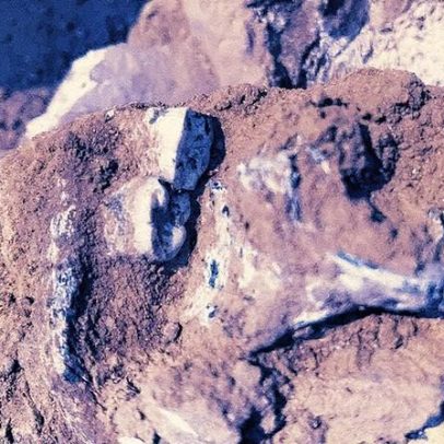 Mandíbula de 1,8 milhão de anos revela indícios de ancestralidade humana antiga