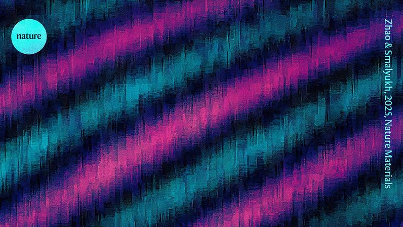 Cristal de tempo observado sob um microscópio (Foto: Reprodução)