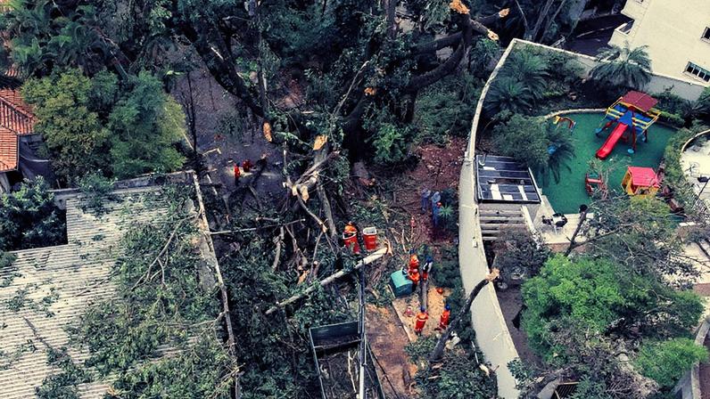 Estragos causados pelo temporal em Higienópolis, região central de São Paulo (Foto: Reprodução)