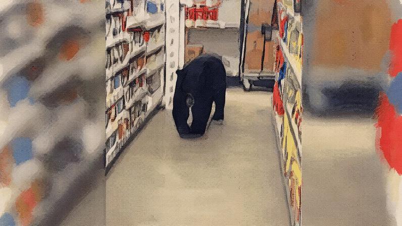 Imagens do animal circulam nas redes sociais (Foto: Reprodução)