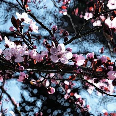 Primavera meteorológica inicia e traz mudanças no clima de setembro