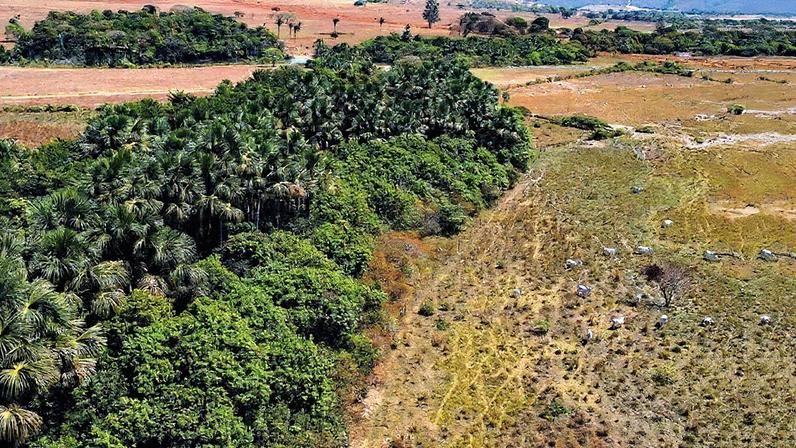 Terras desmatadas no Cerrado, bioma com alta concentração de focos de calor (Foto: Reprodução)