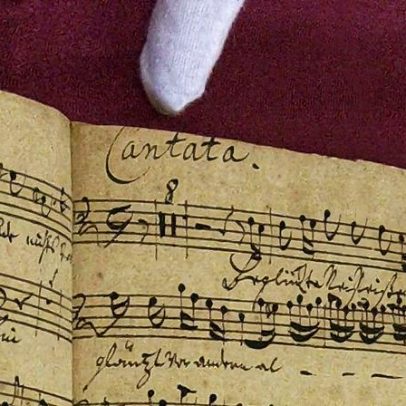 Cientista explora como o cérebro humano processa o pensamento e a consciência