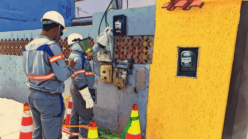 Combate ao gato de energia (Foto: Reprodução)