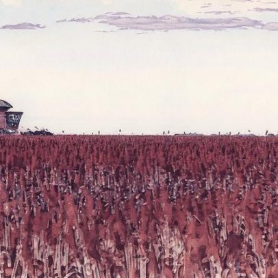 Jovens precisam de incentivos para permanecer no campo e fortalecer a agricultura