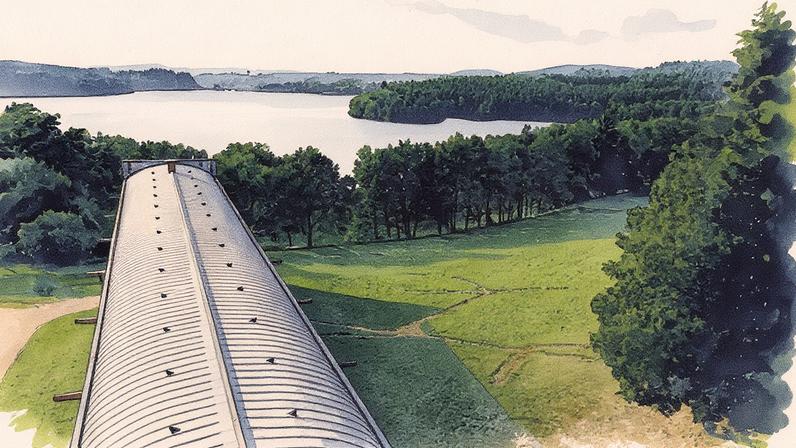 CIAPV’s initiatives include creating a self-managing forest that does not need human intervention CIAPV; © ADAGP, Paris; 2025