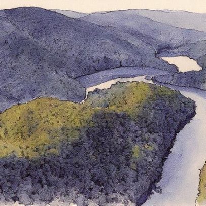 Votorantim transforma Vale do Ribeira em polo de biodiversidade inovador