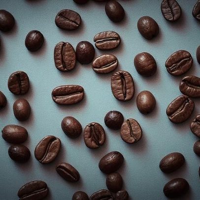 Produção de café no Brasil despenca e IBGE antecipa dificuldades para 2025
