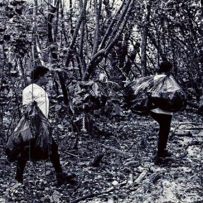 Ilha da Gigoia recebe mutirão de limpeza e promove conscientização ambiental