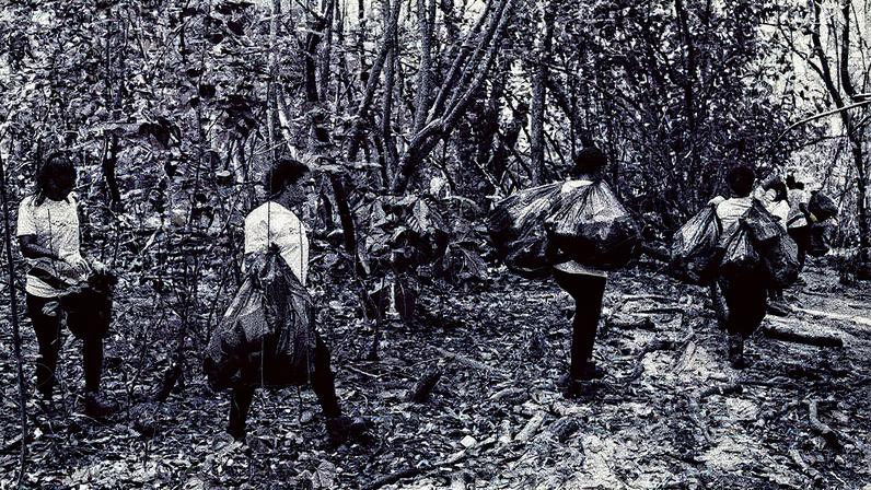 Grupo durante mutirão na edição do evento de 2024, na Lagoa de Jacarepaguá (Foto: Reprodução)