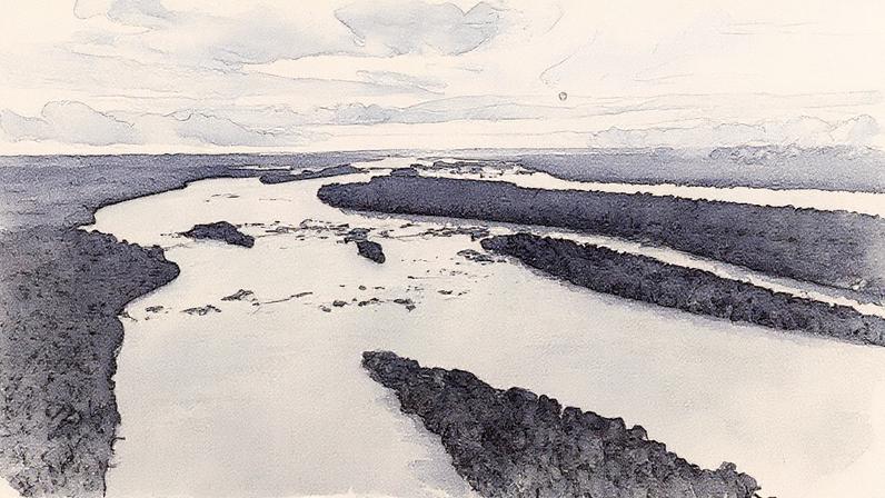 Municípios recebem investimento para o combate ao desmatamento e incêndios (Foto: Reprodução)