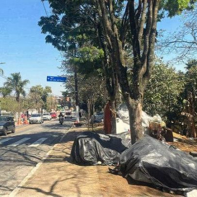 Prefeitura de SP retira moradores de rua para criar jardineiras em cemitério