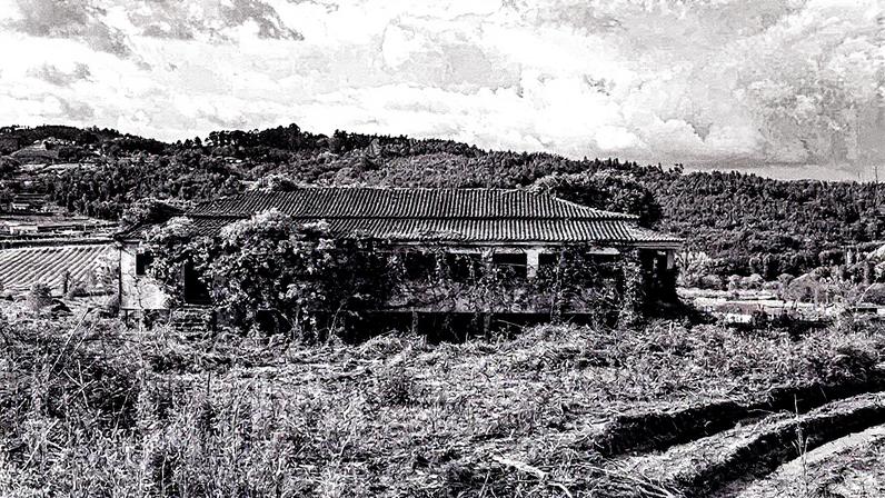 Natureza invade casas abandonadas em Portugal, criando um contraste entre a arquitetura e a vegetação (Foto: Reprodução)