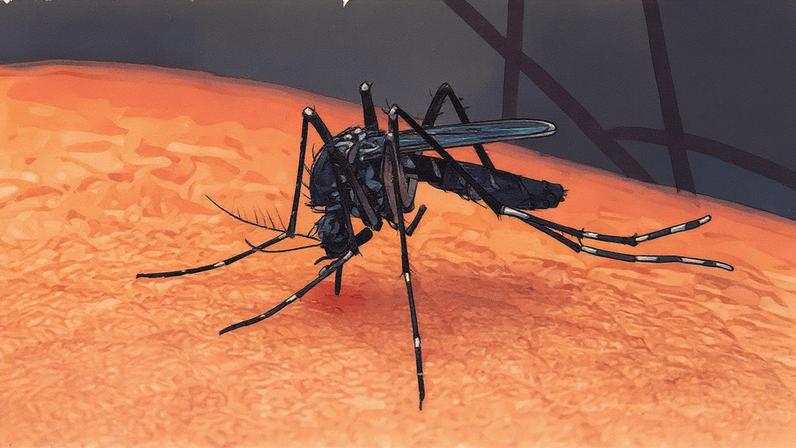 Doença provocada pelo mosquito Aedes aegypti pode levar à morte (Foto: Reprodução)