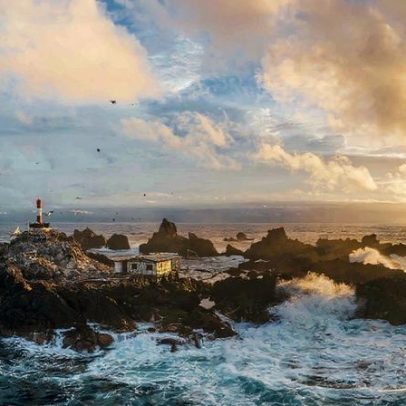 Ilhas brasileiras, como Fernando de Noronha, são vitais para a biodiversidade global