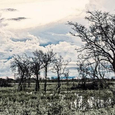 Centro-Oeste registra aumento da umidade e chuvas isoladas nesta semana