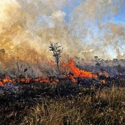 Aumento de casos de gripe é associado a incêndios florestais em diversas regiões