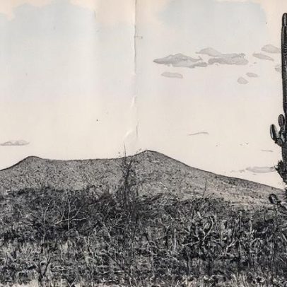 Caatinga é destaque na transição energética, mas enfrenta alto desmatamento