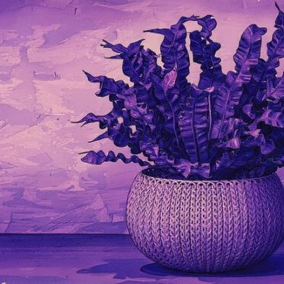 Aprenda a cuidar e regar asplênio com dicas essenciais para sua saúde