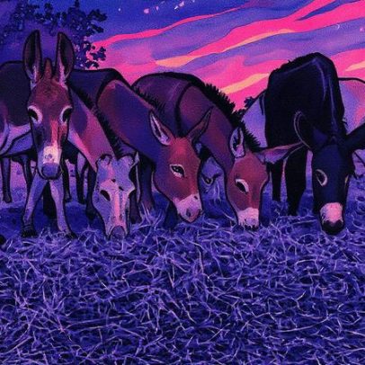 Bahia recomenda proibição da criação de jumentos para abate e exportação à China