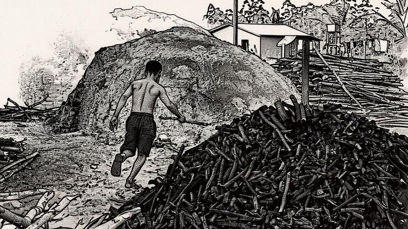 Trabalho infantil perigoso no Brasil recuou para 560 mil crianças e adolescentes em 2024, o menor nível desde 2016 (Foto: Reprodução)