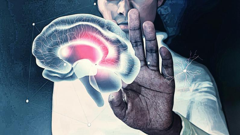 Cérebro humano em destaque (Foto: Reprodução)