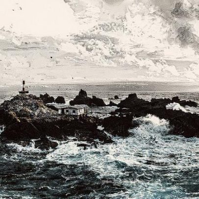 Ilhas brasileiras abrigam espécies exclusivas, revela nova pesquisa científica