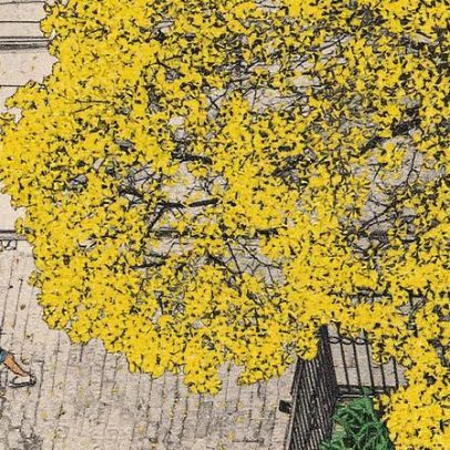 Primavera traz aumento de problemas respiratórios e de pele; veja como se proteger