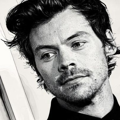 Vizinhos de Harry Styles reclamam de obra de 30 milhões de libras em sua casa