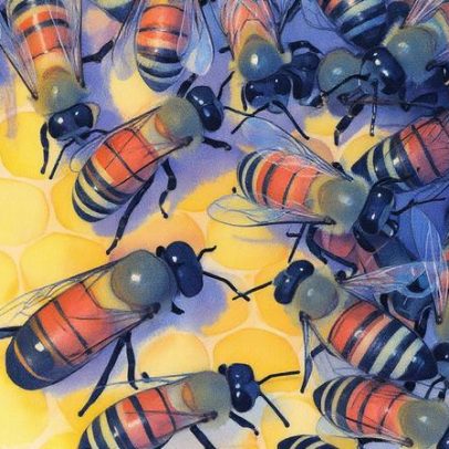 Humanos e abelhas compartilham genes que impulsionam a vida social