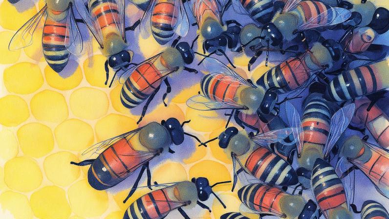 Homem de terno fala ao microfone durante apresentação em um palco com gráfico ao fundo (Foto: Reprodução)