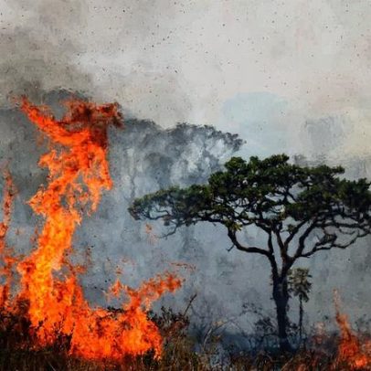 Crisis de valores agrava desafios climáticos após dez anos de ‘Laudato si’ e Acuerdo de París