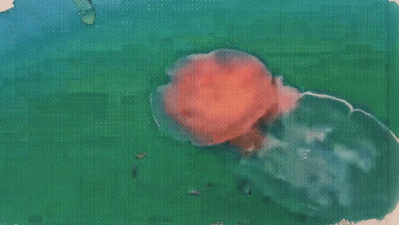 Animal pode chegar a mais de 20 metros (Foto: Reprodução)