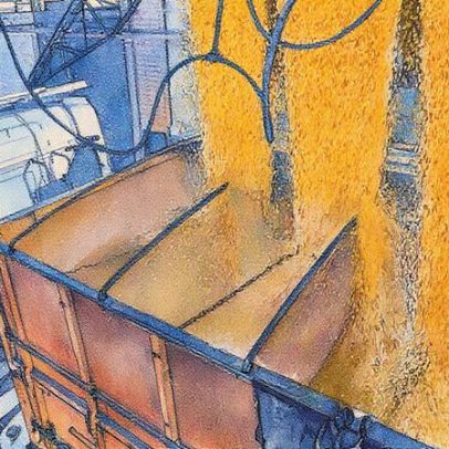 Edição genética transforma o agronegócio e promete inovação no setor agrícola