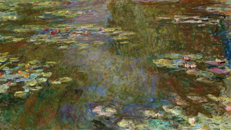 Ponte sobre um lago com lírios aquáticos, cercada por vegetação (Foto: Reprodução)