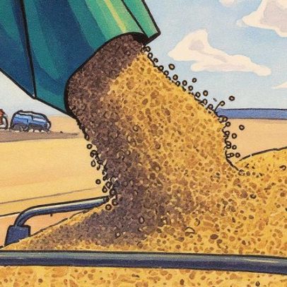 Armazenamento eficiente garante solução para desafios logísticos atuais