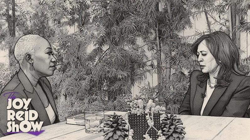 Joy Reid sat down with former Vice President Kamala Harris. YouTube/@TheJoyReidShow