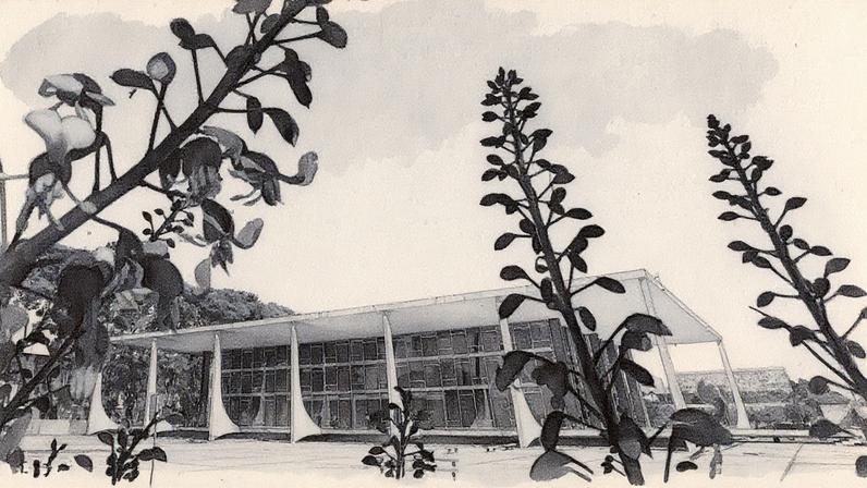 STF colocou prazo para Congresso Nacional legislar contra perda de empregos por automação. (Foto: Gustavo Moreno / STF)