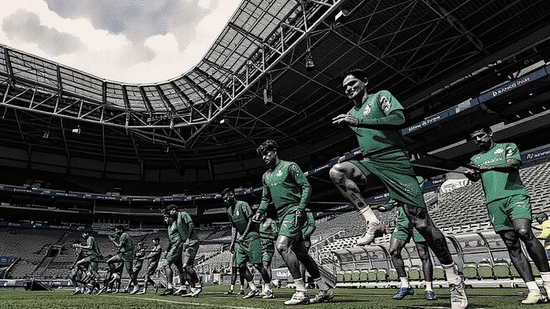 (Foto: Cesar Greco/Palmeiras/by Canon)