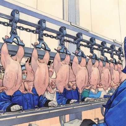 GTF de frango e alimentos mira receita de 10 bilhões após expansão, diz diretor