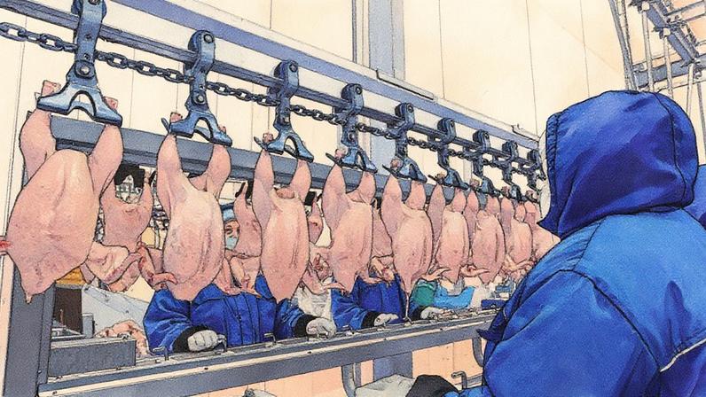 GTF, de frango e alimentos, planeja mais que dobrar a receita para R$ 10 bi, diz CEO|Empresa prevê faturar R$ 4,5 bilhões neste ano, ante R$ 4 bilhões no ano passado (Foto: Andrey Rudakov/Bloomberg)