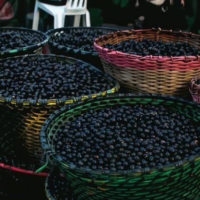 Belém revela sabores da Amazônia em cada garfada