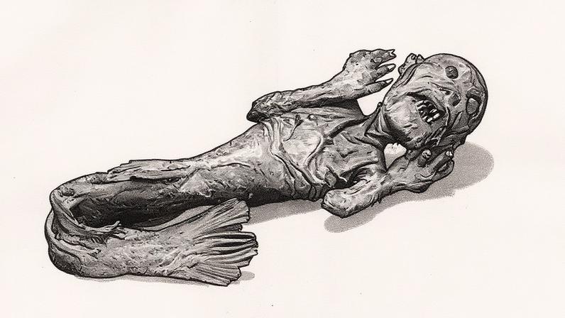 Closer inspection reveals that the "mermaid" features bits of fish and monkey © The Trustees of the British Museum