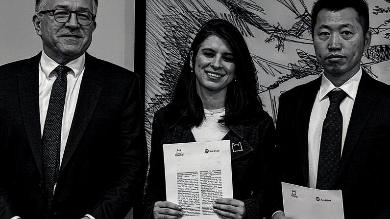 Foto: divulgação/MS