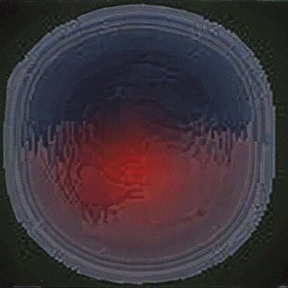 Dan Campbell condena agressão de Brian Branch a Juju Smith-Schuster